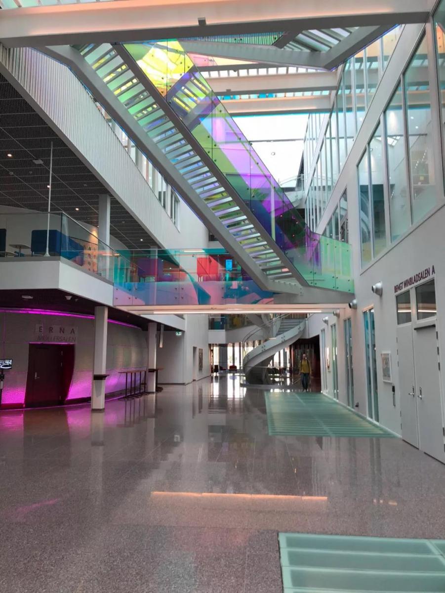 (卡罗林斯卡大学医院)